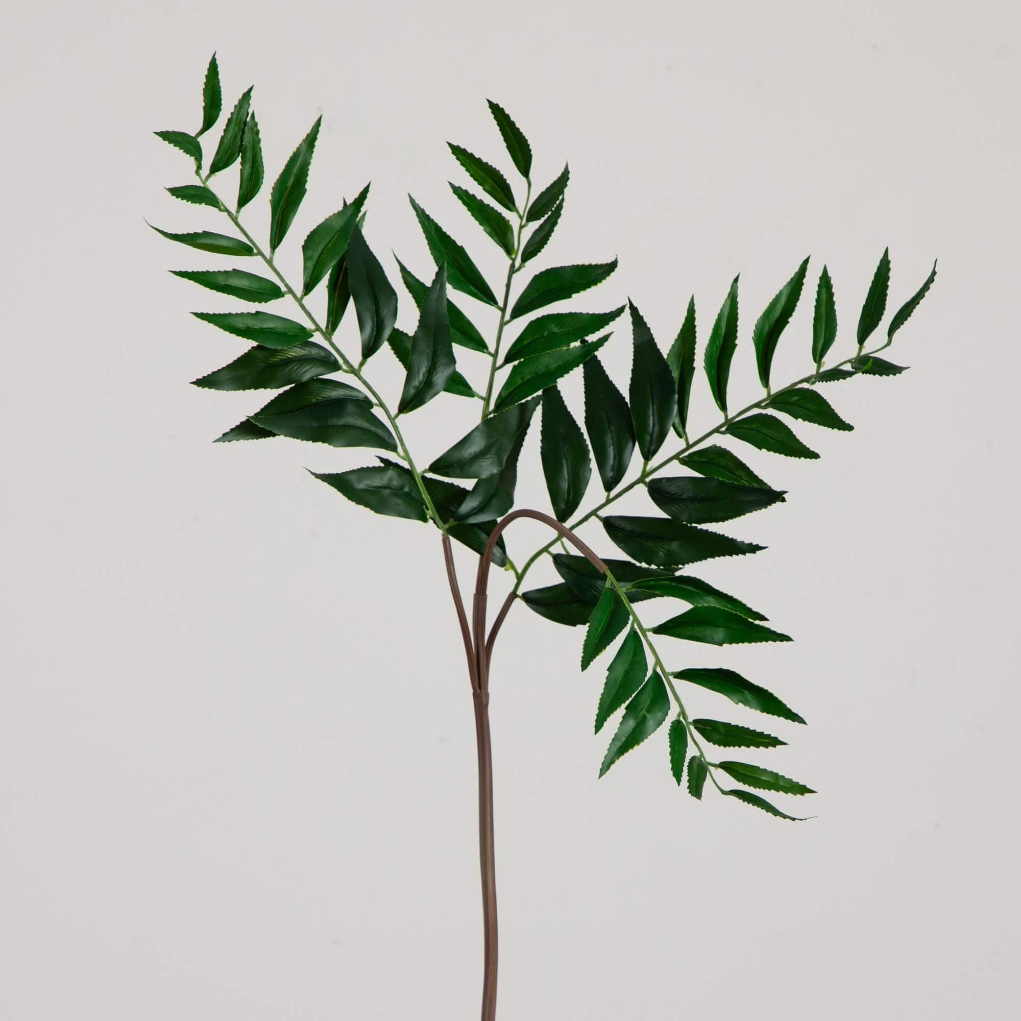 38" Green Palmate Fern Stems, 3ct.